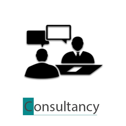Consultancy